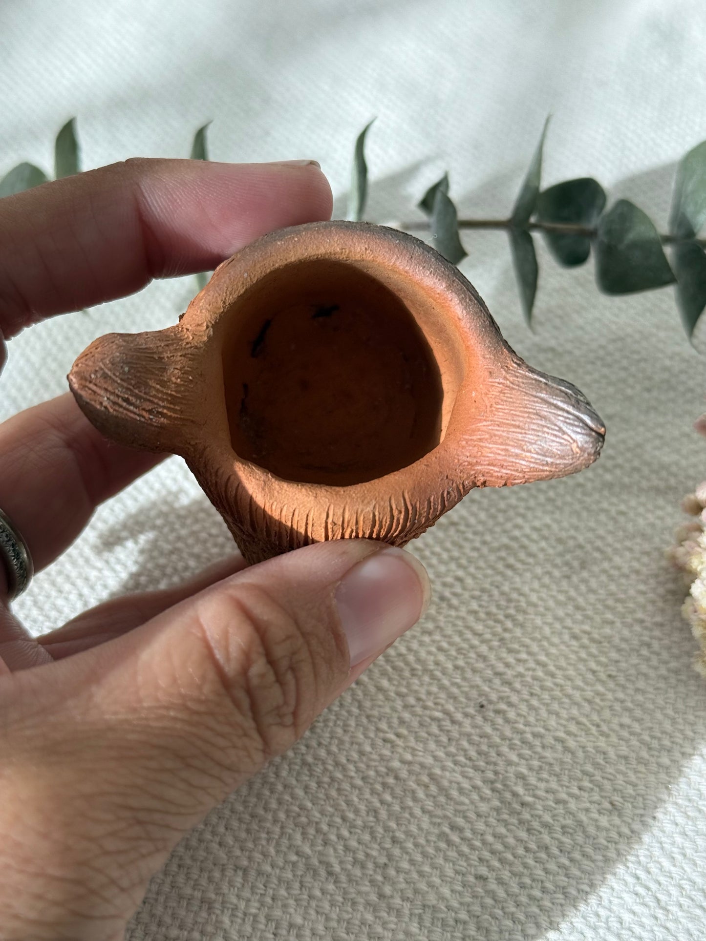 Coyote Shot Glass