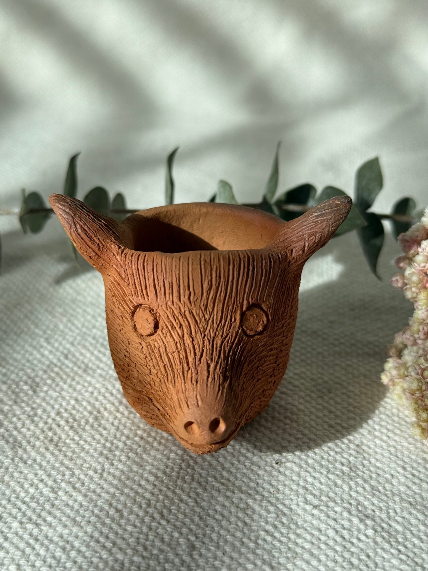 Coyote Shot Glass