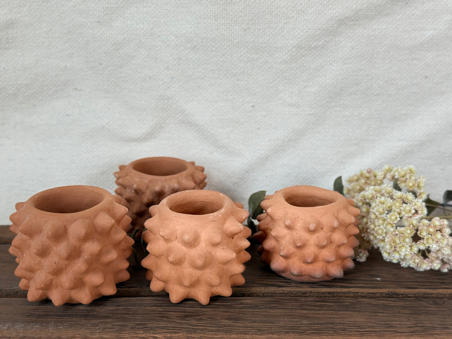 Pochote Shot Glass