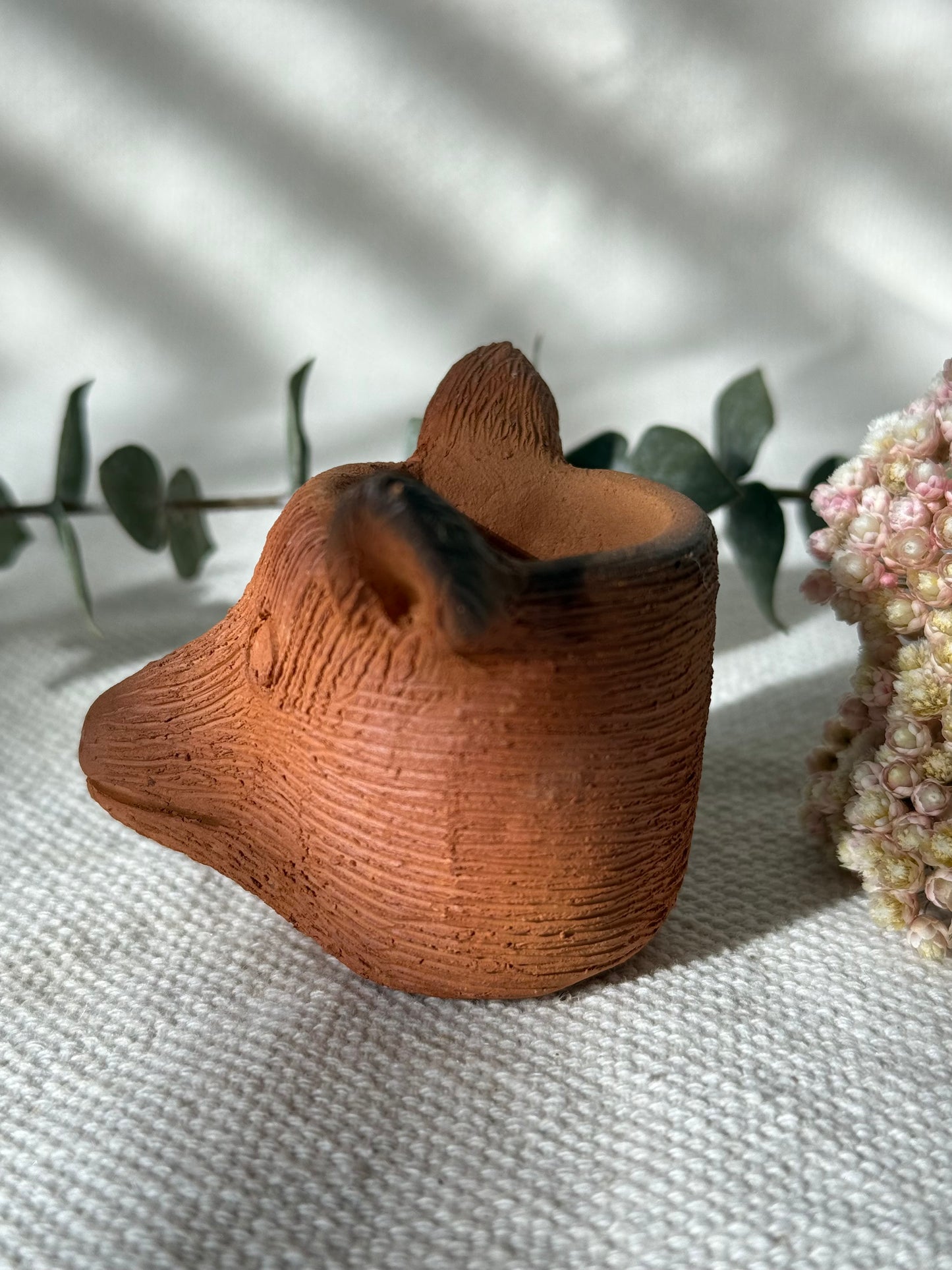 Coyote Shot Glass