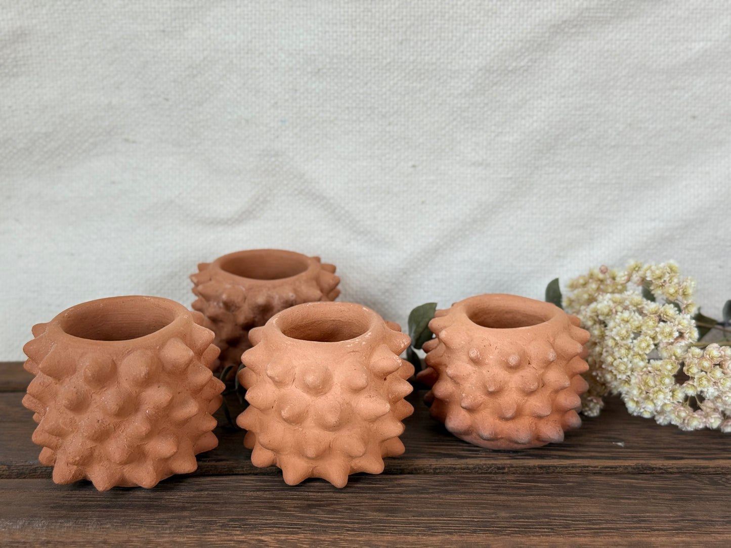 Pochote Shot Glass