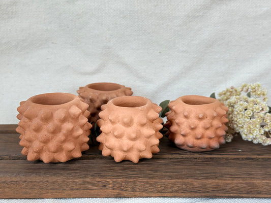 Pochote Shot Glass