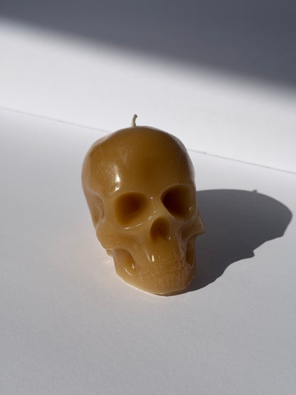 Small Beeswax Skull
