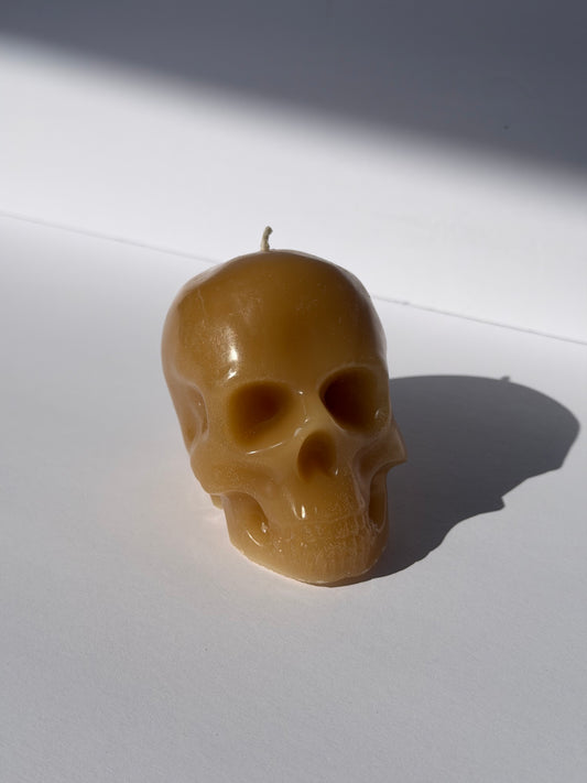 Small Beeswax Skull