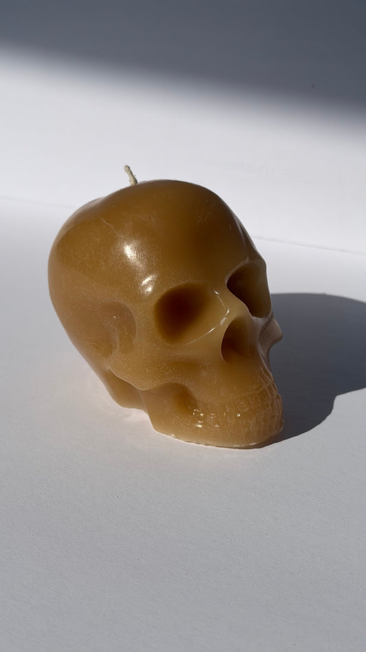 Beeswax Skull