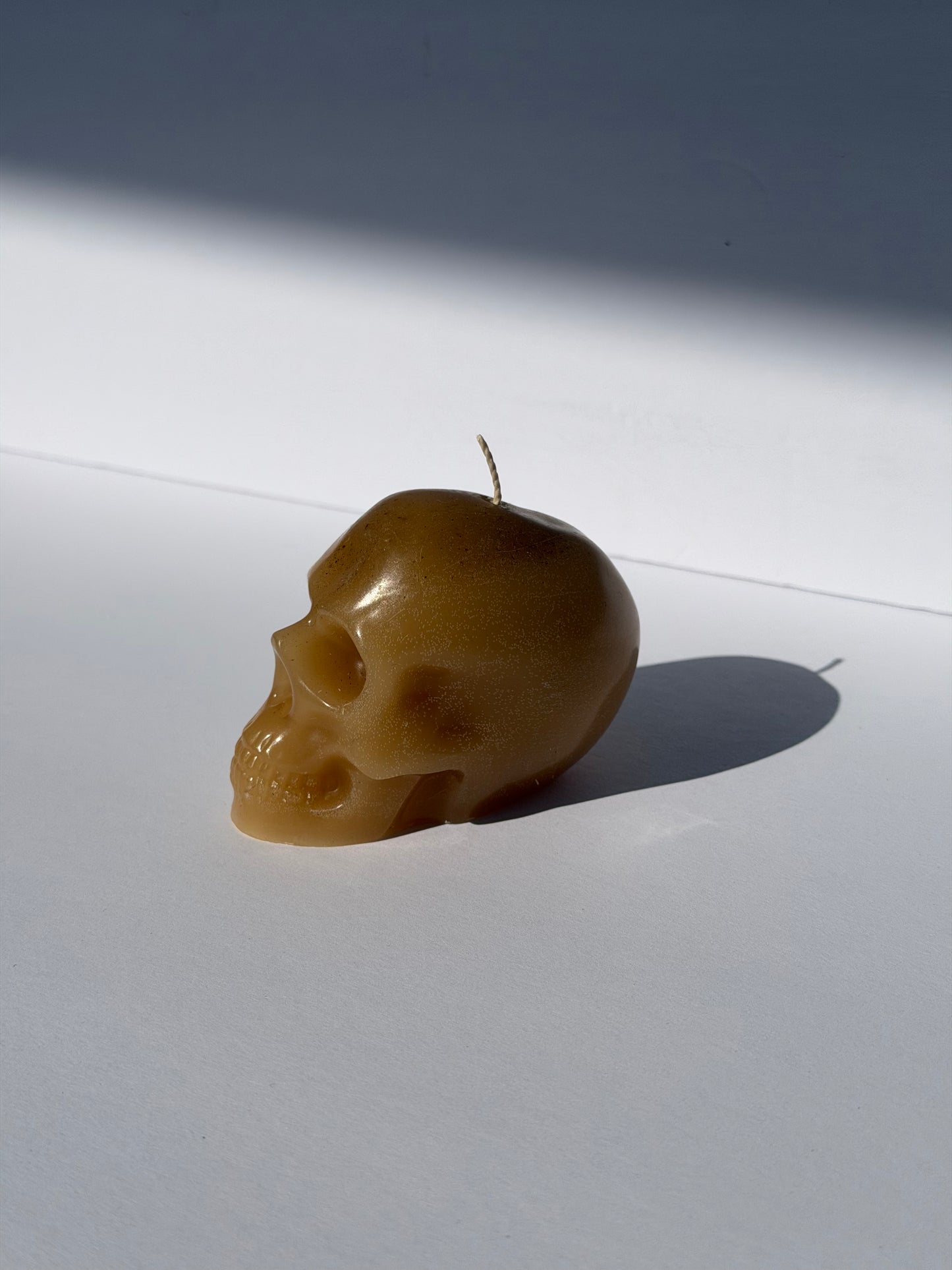 Small Beeswax Skull