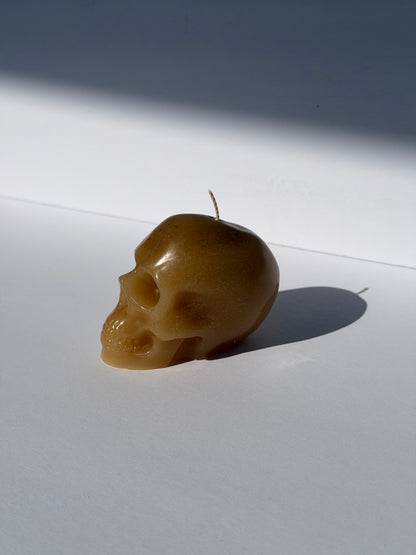 Small Beeswax Skull