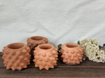 Pochote Shot Glass