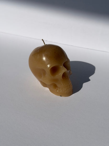 Small Beeswax Skull