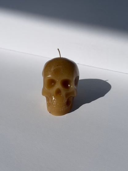Small Beeswax Skull
