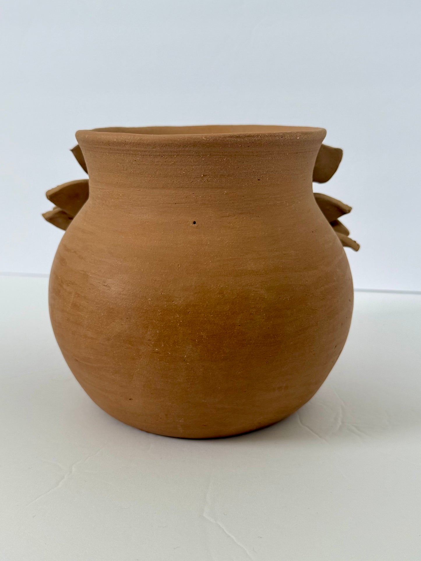 Mini 3D Flowers Vase - Natural Color